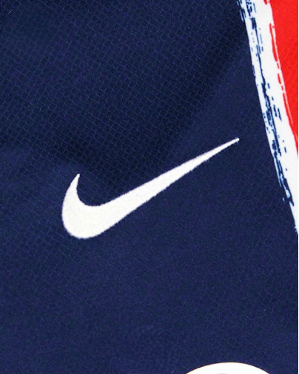 PSG DOM 2025